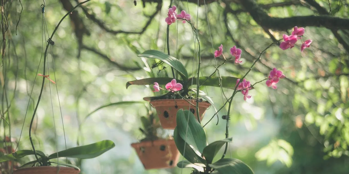 Mexican funeral Flowers