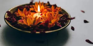 Orange Mexican Flowers